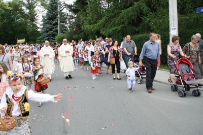 Kliknij aby obejrzeć w pełnym rozmiarze